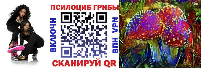 Купить Лахденпохья Псилоцибиновые грибы Psilocybine cubensis